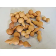 Pompoen mini naturel 20st