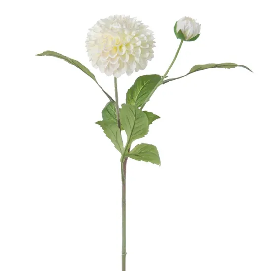 Dahlia 60cm white
