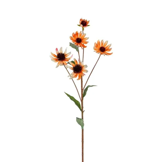 Echinacea 73cm salmon