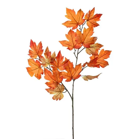 Esdoorn 90cm oranje
