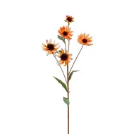 Echinacea 73cm saumon