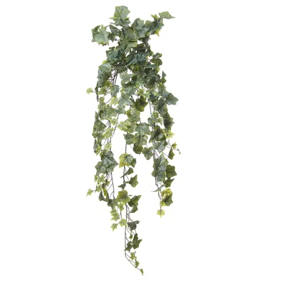 Hedera 105cm vert antique