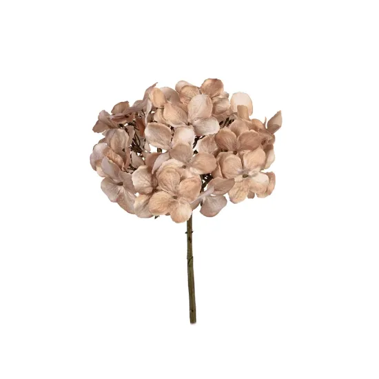 Hydrangea 50cm dark cream