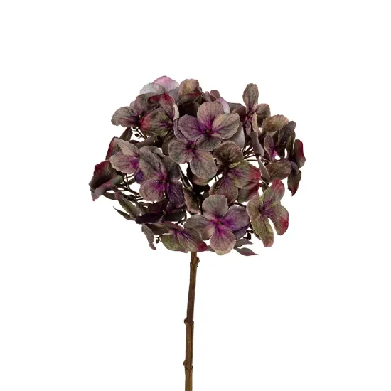 Hydrangea 50cm green/burgundy