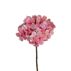 Hortensia 50cm rose