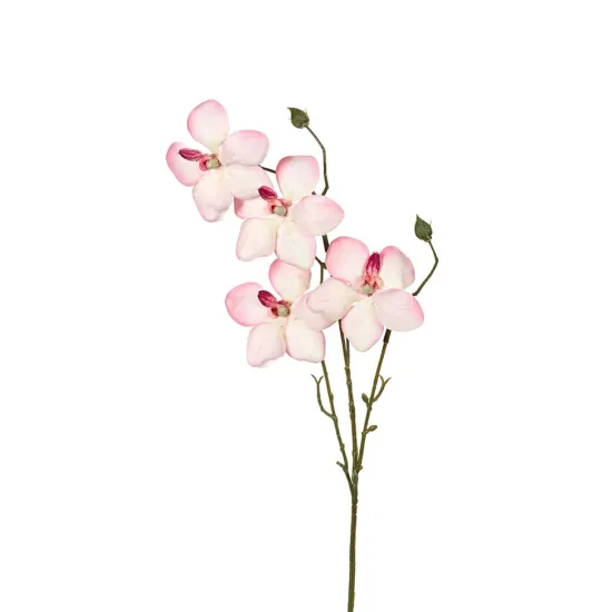 Orchid light pink 55cm