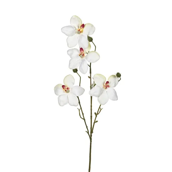 Orchidee wit 55cm