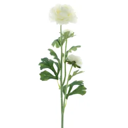 Ranunculus x3 creme 64cm