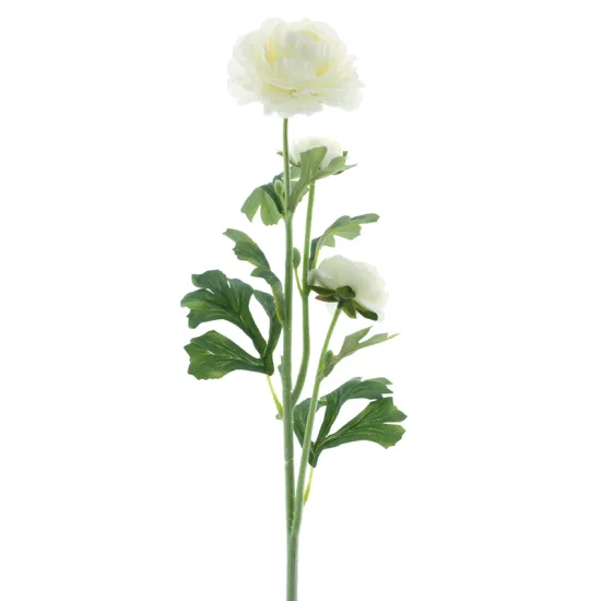 Ranunculus x3 cream 64cm