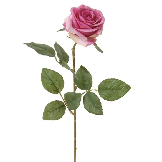 Rose 66cm cherry
