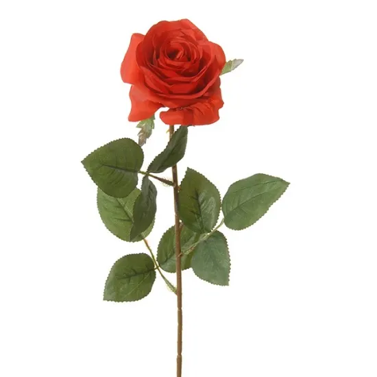 Rose 66cm red