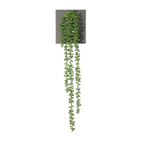 Senecio 70cm green