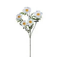 Tagetes 72cm blanc