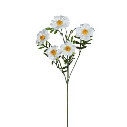 Tagetes 72cm blanc