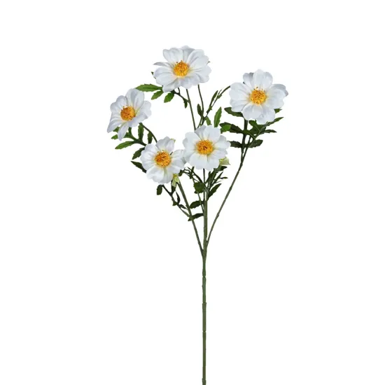 Tagetes 72cm wit