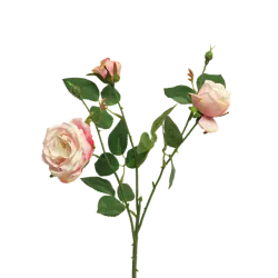 Rose italien x3 rose 61cm