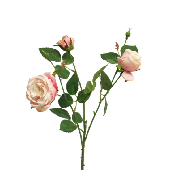 Italian rose x3 pink 61cm