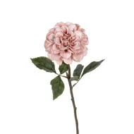 Dahlia 59cm old pink