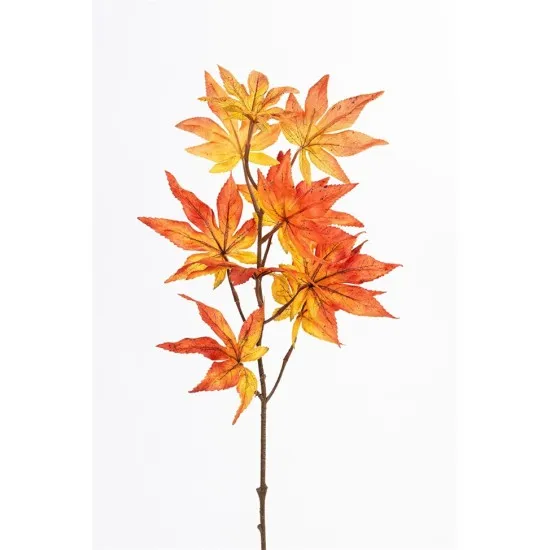 Esdoorn 75cm oranje