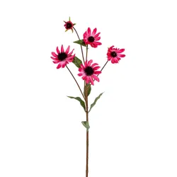 Echinacea 73cm cerise