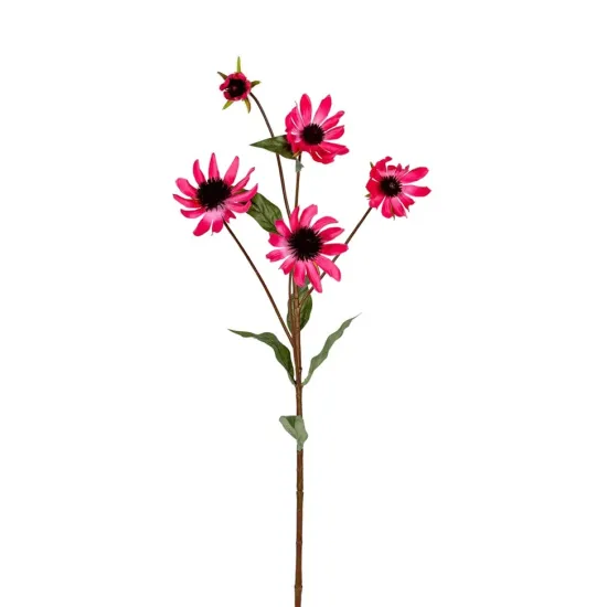 Echinacea 73cm cerise