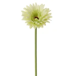 Gerbera 58cm vert