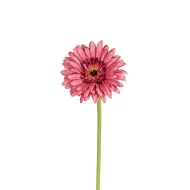 Gerbera 58cm vieux rose