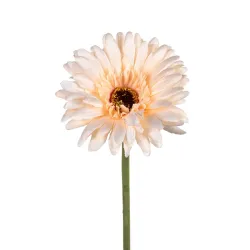 Gerbera 58cm saumon