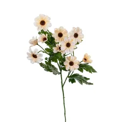 Daisy 75cm cream