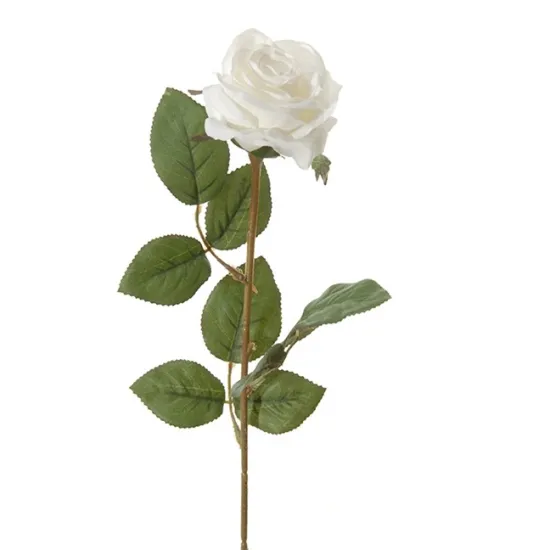 Roos 66cm wit