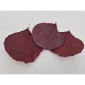 Preserved leaf