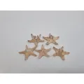 Shells & starfish
