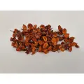 Dried flowers / exotics