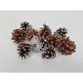 Pineapples / cones