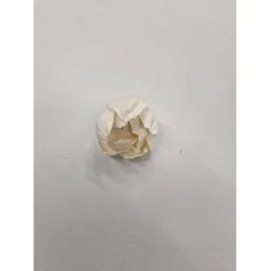 Shola pioen 4cm naturel 40st