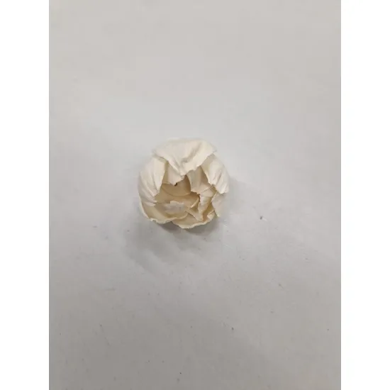 Shola pivoine 4cm naturel 40pcs