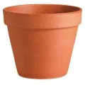 Pottery / cyramics