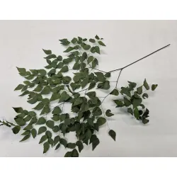 Adianthum vert 10pcs