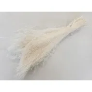 Agrostis nebulosa cloud grass gebleekt +/-50gr