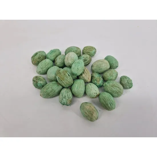 Amra pods munt +/-100gr