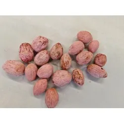 Amra pods rose +/-500gr