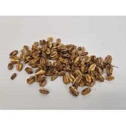 Arjun petit or 500gr