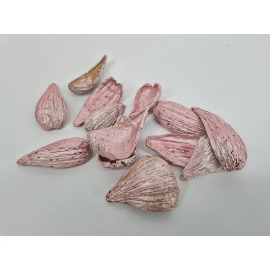 Arti pods pearl pink +/-50gr