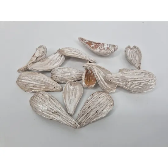 Arti pods pearl white +/-250gr