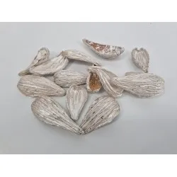 Arti pods pearl white +/-50gr