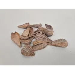 Arti pods white wash +/-50gr