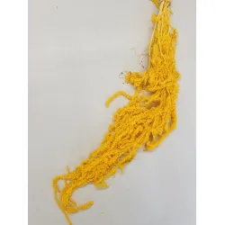 Amaranthus caudatus stabilise jaune