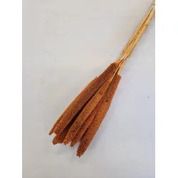 Babala orange 55cm 10pcs