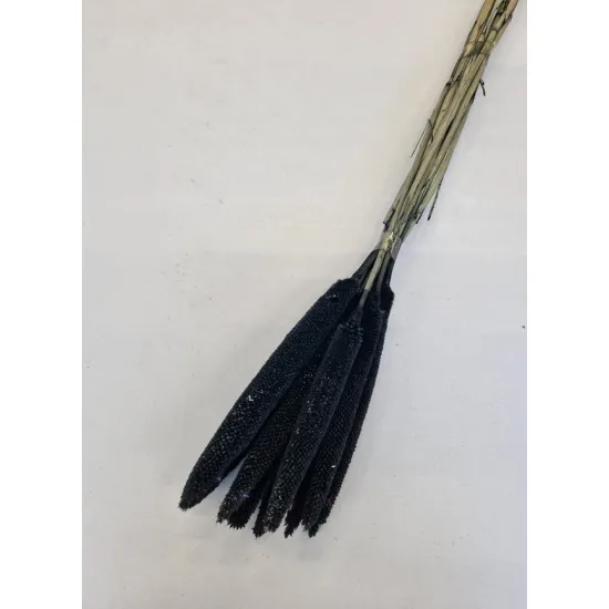 Babala zwart 55cm 10st