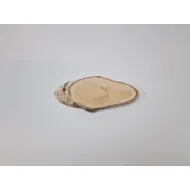 Berkenschijf lang +/-22x10cm +/-2.5cm naturel